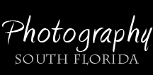 Photography South Florida