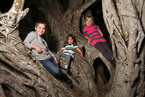 Family Portraits and Child Photography 